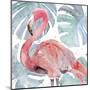 Flamingo Splash II-Annie Warren-Mounted Art Print