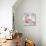 Flamingo Splash II-Annie Warren-Stretched Canvas displayed on a wall