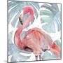 Flamingo Splash II-Annie Warren-Mounted Art Print