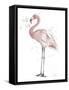 Flamingo Stand I-Patricia Pinto-Framed Stretched Canvas