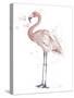 Flamingo Stand I-Patricia Pinto-Stretched Canvas