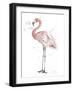 Flamingo Stand I-Patricia Pinto-Framed Art Print