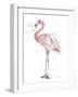 Flamingo Stand I-Patricia Pinto-Framed Art Print