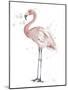 Flamingo Stand I-Patricia Pinto-Mounted Art Print