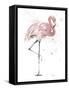 Flamingo Stand II-Patricia Pinto-Framed Stretched Canvas