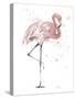 Flamingo Stand II-Patricia Pinto-Stretched Canvas