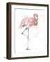 Flamingo Stand II-Patricia Pinto-Framed Art Print