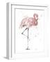 Flamingo Stand II-Patricia Pinto-Framed Art Print