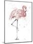 Flamingo Stand II-Patricia Pinto-Mounted Art Print