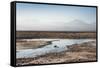 Flamingo Standing in Water at Laguna De Chaxa (Chaxa Lake) at Dawn, San Pedro, Chile, South America-Kimberly Walker-Framed Stretched Canvas