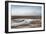 Flamingo Standing in Water at Laguna De Chaxa (Chaxa Lake) at Dawn, San Pedro, Chile, South America-Kimberly Walker-Framed Photographic Print