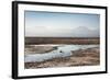 Flamingo Standing in Water at Laguna De Chaxa (Chaxa Lake) at Dawn, San Pedro, Chile, South America-Kimberly Walker-Framed Photographic Print