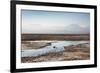 Flamingo Standing in Water at Laguna De Chaxa (Chaxa Lake) at Dawn, San Pedro, Chile, South America-Kimberly Walker-Framed Photographic Print