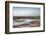 Flamingo Standing in Water at Laguna De Chaxa (Chaxa Lake) at Dawn, San Pedro, Chile, South America-Kimberly Walker-Framed Photographic Print