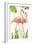 Flamingo Stroll 1-Mary Escobedo-Framed Art Print