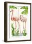 Flamingo Stroll 2-Mary Escobedo-Framed Art Print