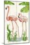 Flamingo Stroll 2-Mary Escobedo-Mounted Art Print