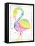 Flamingo Sunrise-Ashley Sta Teresa-Framed Stretched Canvas