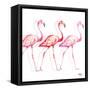 Flamingo Trio I-Tiffany Hakimipour-Framed Stretched Canvas