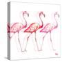 Flamingo Trio I-Tiffany Hakimipour-Stretched Canvas