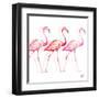 Flamingo Trio I-Tiffany Hakimipour-Framed Art Print