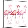 Flamingo Trio I-Tiffany Hakimipour-Mounted Art Print