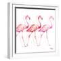 Flamingo Trio I-Tiffany Hakimipour-Framed Art Print