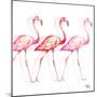 Flamingo Trio I-Tiffany Hakimipour-Mounted Art Print