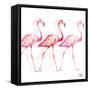 Flamingo Trio I-Tiffany Hakimipour-Framed Stretched Canvas