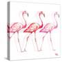 Flamingo Trio I-Tiffany Hakimipour-Stretched Canvas