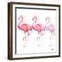 Flamingo Trio II-Tiffany Hakimipour-Framed Art Print