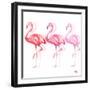 Flamingo Trio II-Tiffany Hakimipour-Framed Art Print