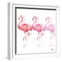 Flamingo Trio II-Tiffany Hakimipour-Framed Art Print