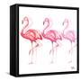 Flamingo Trio II-Tiffany Hakimipour-Framed Stretched Canvas