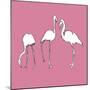 Flamingo Trio-Sandra Jacobs-Mounted Giclee Print