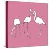 Flamingo Trio-Sandra Jacobs-Stretched Canvas