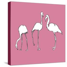 Flamingo Trio-Sandra Jacobs-Stretched Canvas