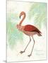 Flamingo Tropicale II-Sue Schlabach-Mounted Art Print