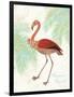 Flamingo Tropicale II-Sue Schlabach-Framed Art Print