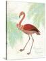 Flamingo Tropicale II-Sue Schlabach-Stretched Canvas