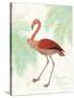 Flamingo Tropicale II-Sue Schlabach-Stretched Canvas