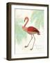 Flamingo Tropicale II-Sue Schlabach-Framed Art Print