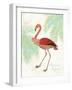 Flamingo Tropicale II-Sue Schlabach-Framed Art Print