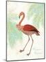 Flamingo Tropicale II-Sue Schlabach-Mounted Art Print