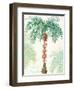 Flamingo Tropicale III-Sue Schlabach-Framed Art Print