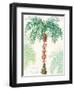 Flamingo Tropicale III-Sue Schlabach-Framed Art Print