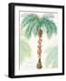 Flamingo Tropicale III-Sue Schlabach-Framed Art Print