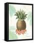 Flamingo Tropicale IV-Sue Schlabach-Framed Stretched Canvas