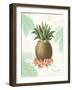 Flamingo Tropicale IV-Sue Schlabach-Framed Art Print