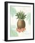 Flamingo Tropicale IV-Sue Schlabach-Framed Art Print